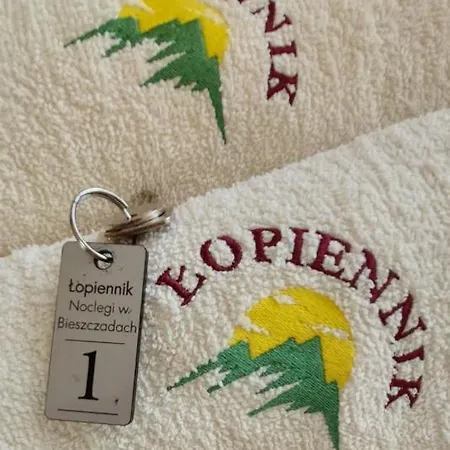 Apartament Łopiennik Cisna Zewnętrze zdjęcie